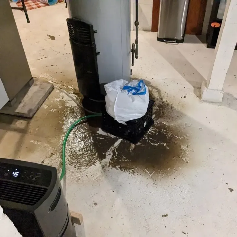Sewage Backup Cleanup Service in Tinicum, PA